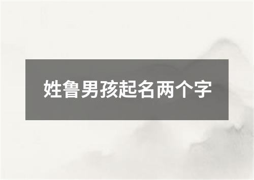 姓鲁男孩起名两个字