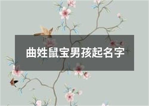 曲姓鼠宝男孩起名字