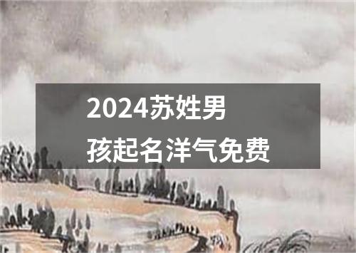 2024苏姓男孩起名洋气免费