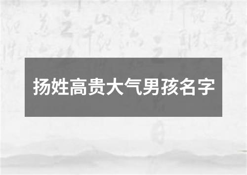 扬姓高贵大气男孩名字