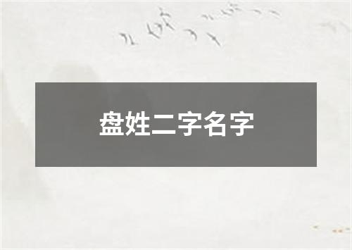 盘姓二字名字