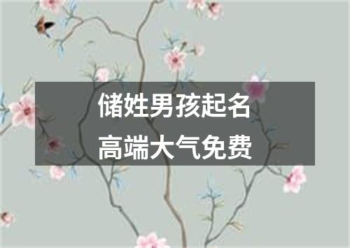 储姓男孩起名高端大气免费