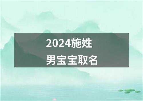 2024施姓男宝宝取名