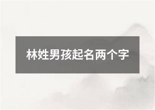 林姓男孩起名两个字