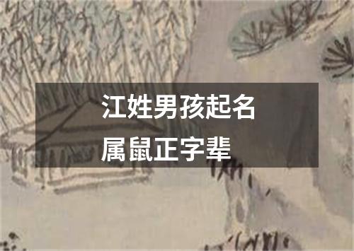 江姓男孩起名属鼠正字辈