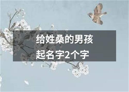 给姓桑的男孩起名字2个字