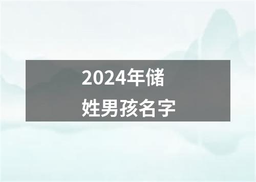 2024年储姓男孩名字