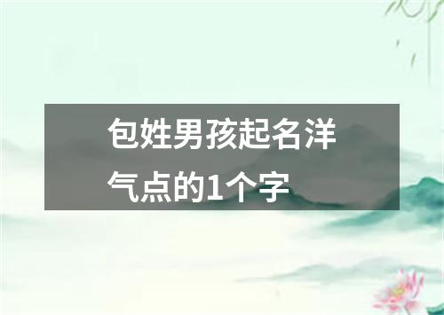 包姓男孩起名洋气点的1个字