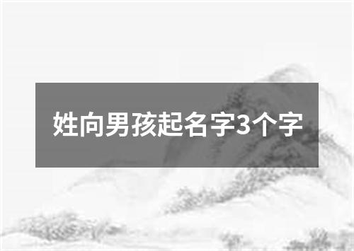 姓向男孩起名字3个字