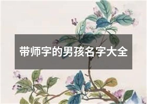 带师字的男孩名字大全