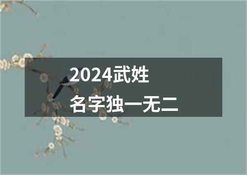 2024武姓名字独一无二