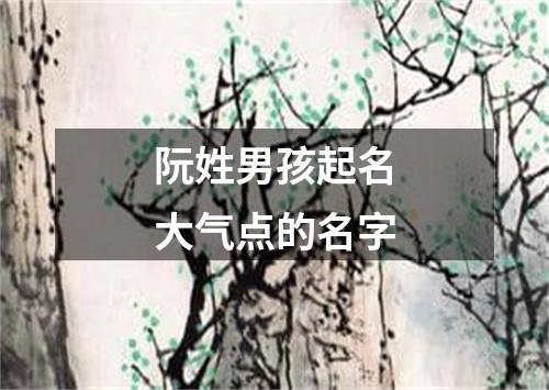 阮姓男孩起名大气点的名字