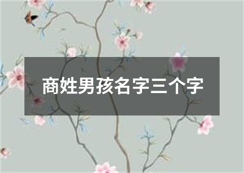 商姓男孩名字三个字