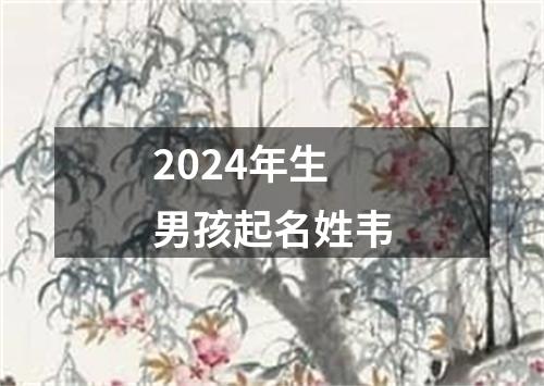 2024年生男孩起名姓韦