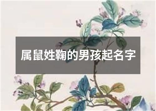 属鼠姓鞠的男孩起名字