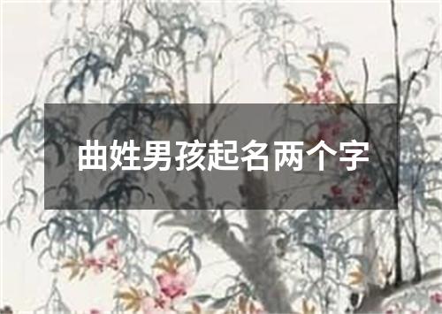 曲姓男孩起名两个字