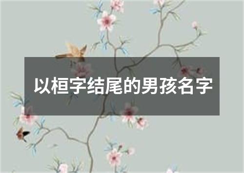 以桓字结尾的男孩名字