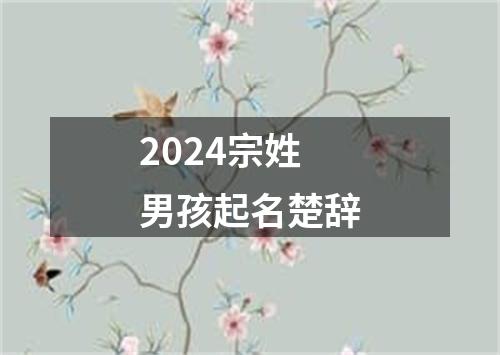 2024宗姓男孩起名楚辞