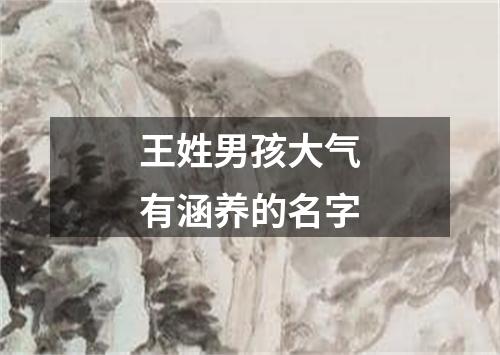 王姓男孩大气有涵养的名字