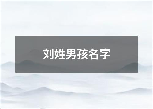 刘姓男孩名字