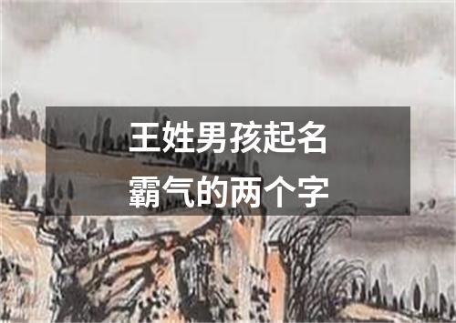 王姓男孩起名霸气的两个字