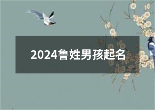 2024鲁姓男孩起名