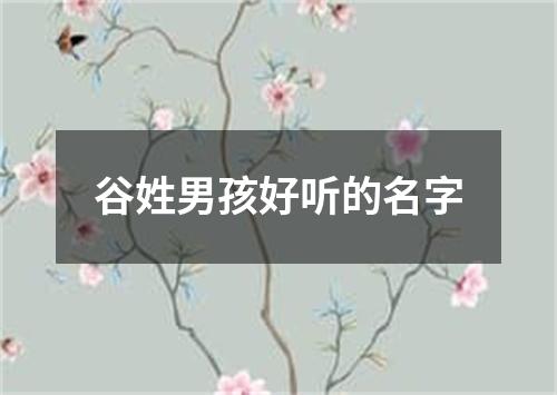 谷姓男孩好听的名字