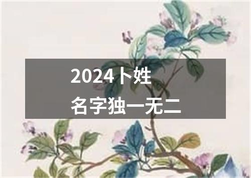 2024卜姓名字独一无二