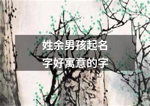 姓余男孩起名字好寓意的字