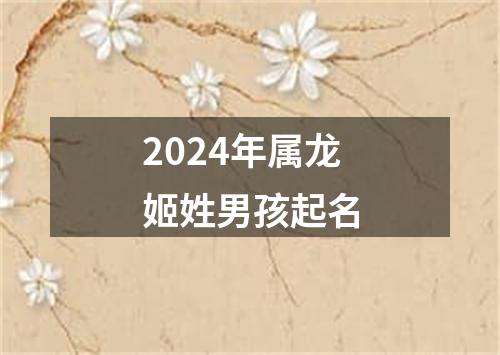 2024年属龙姬姓男孩起名