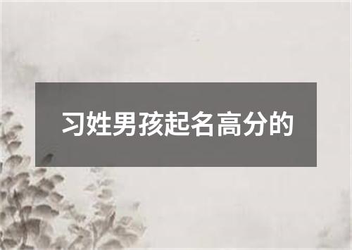 习姓男孩起名高分的