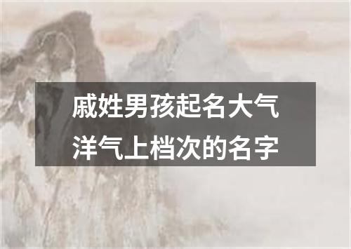 戚姓男孩起名大气洋气上档次的名字