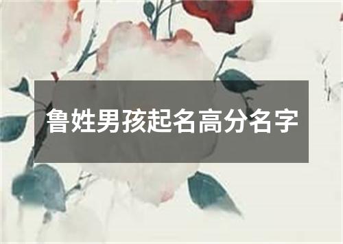 鲁姓男孩起名高分名字