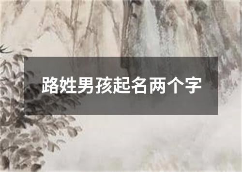 路姓男孩起名两个字