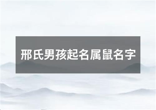 邢氏男孩起名属鼠名字