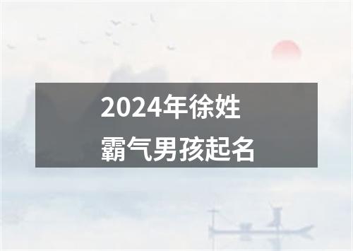 2024年徐姓霸气男孩起名