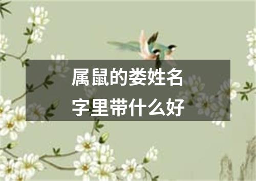 属鼠的娄姓名字里带什么好