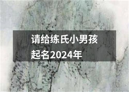 请给练氏小男孩起名2024年