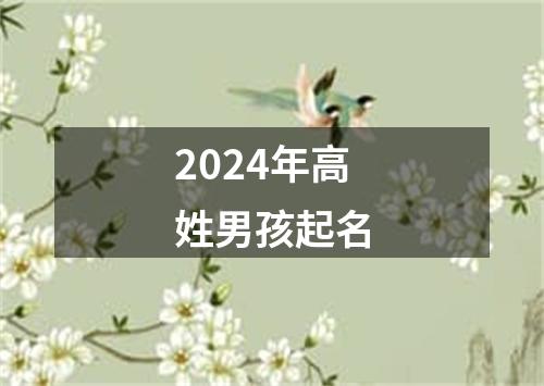 2024年高姓男孩起名