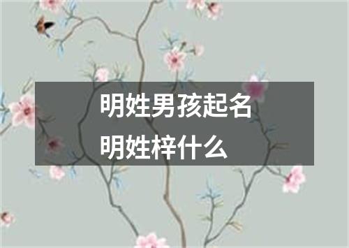 明姓男孩起名明姓梓什么