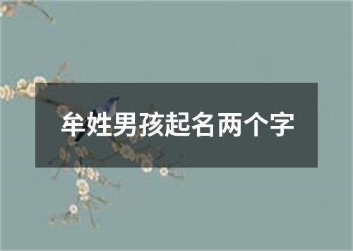 牟姓男孩起名两个字