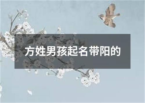 方姓男孩起名带阳的