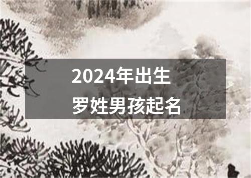 2024年出生罗姓男孩起名