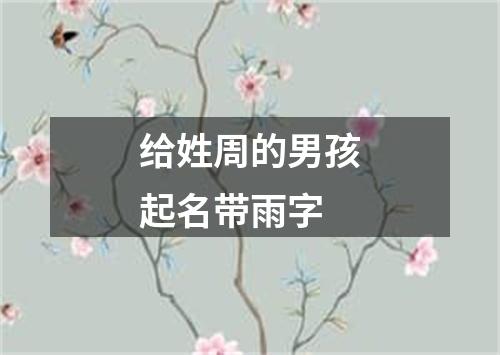 给姓周的男孩起名带雨字