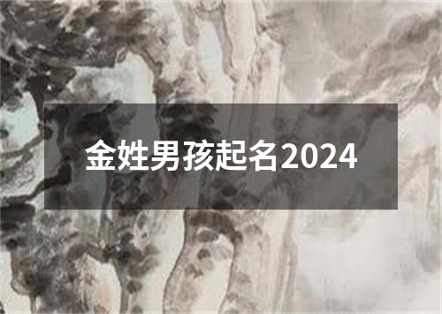 金姓男孩起名2024