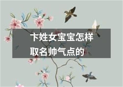 卞姓女宝宝怎样取名帅气点的