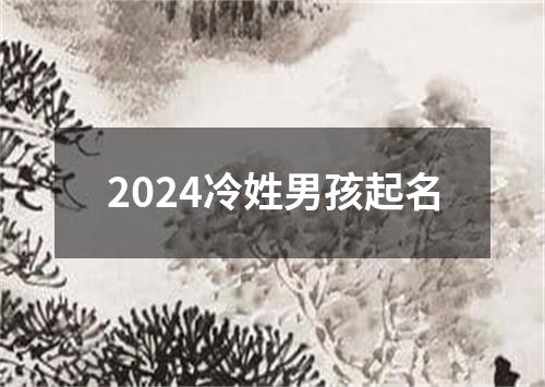 2024冷姓男孩起名