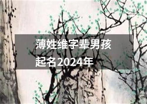 薄姓维字辈男孩起名2024年