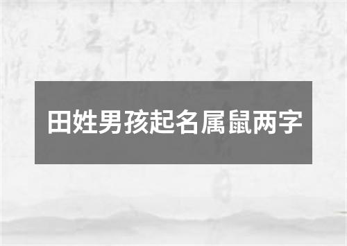 田姓男孩起名属鼠两字