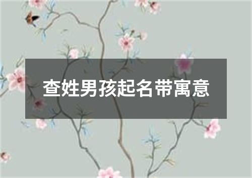 查姓男孩起名带寓意